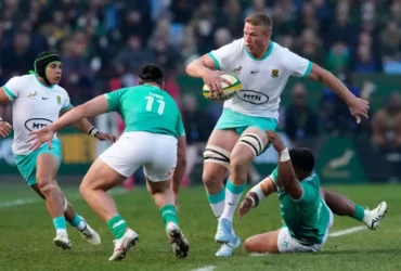 Another 26 overseas Springboks invited to virtual alignment camp
